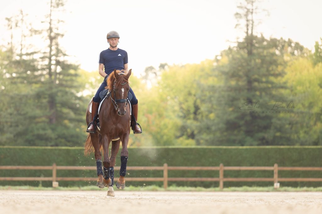 Photo d'un cavalier Pro en dressage pour sa communication.